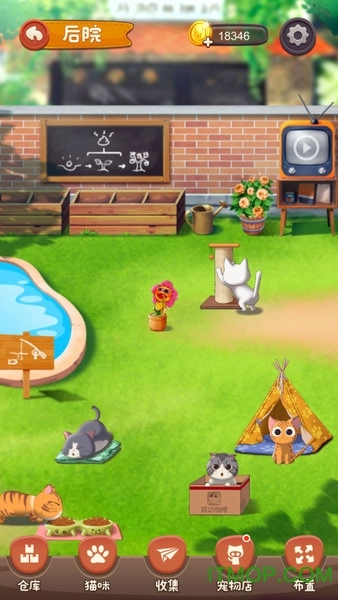 猫语咖啡九游版图1