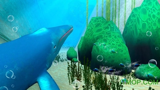 蓝鲸海洋生物模拟3D