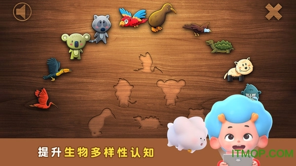 陆地拼拼乐(4)