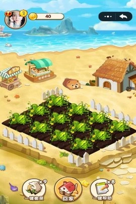 淘金小城红包版