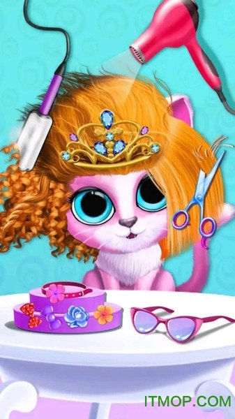 我的宠物美容店