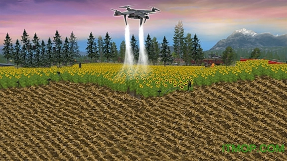 一点都不迷你的农场图1