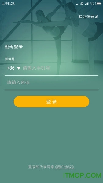 咔哇小鱼