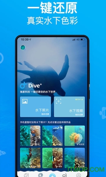 Dive+图3