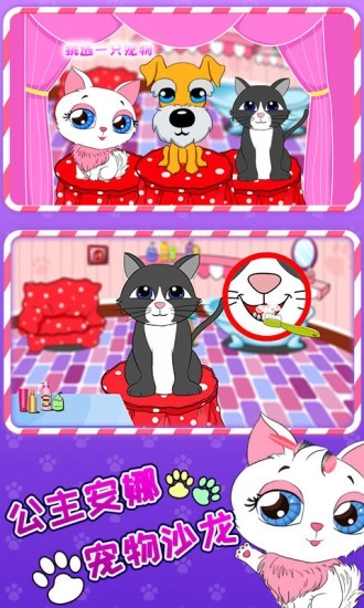 公主安娜宠物沙龙最新版