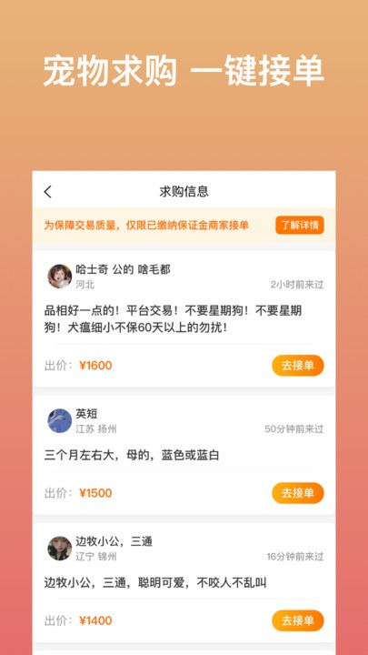 宠物市场官方版图1