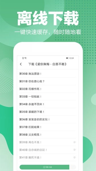 轻果小说图2