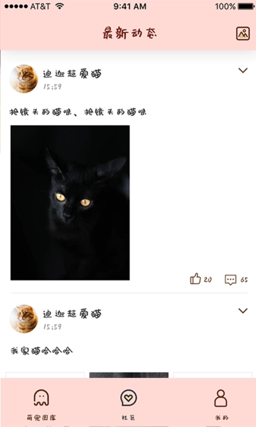 喵喵撸猫图4