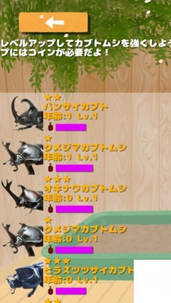 暑假与我和甲虫