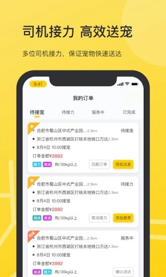 宠滴出行司机端图3