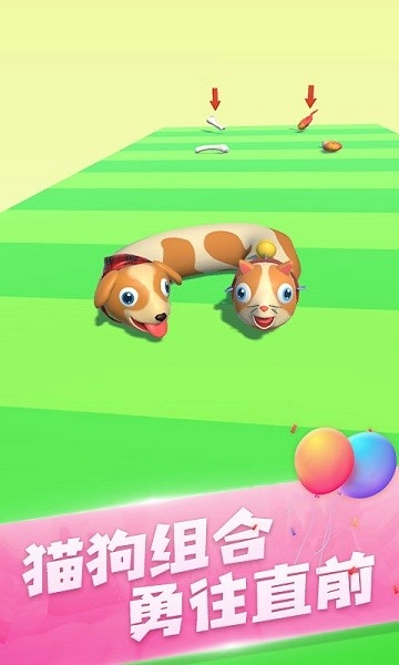 阿猫阿狗大挑战