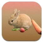 拼个胡萝卜游戏