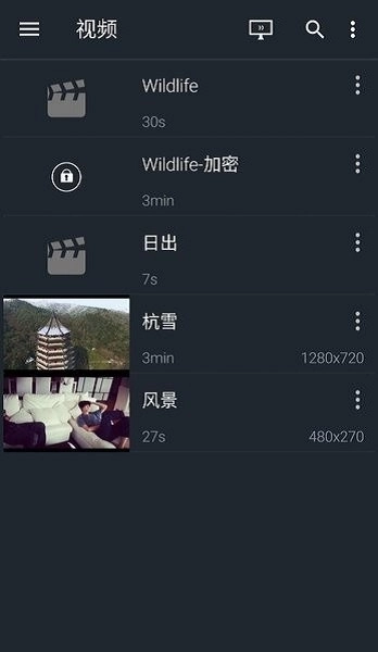 金狮播放器通用版图1