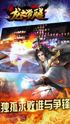 龙之觉醒果盘版图3