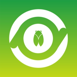 村知了官方最新版
