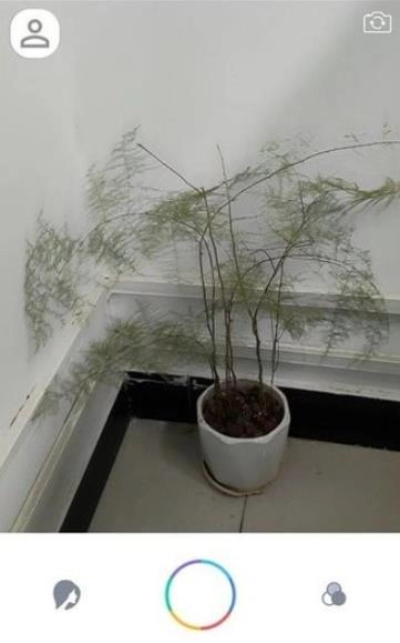 惊鸿相机