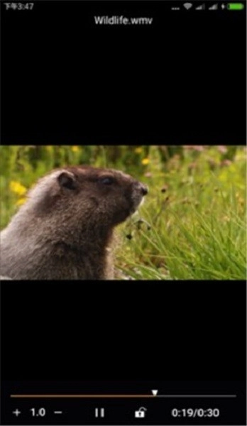 金狮播放器通用版图2