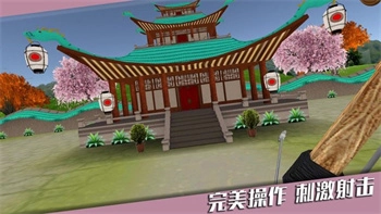 靶心射击手机版(4)