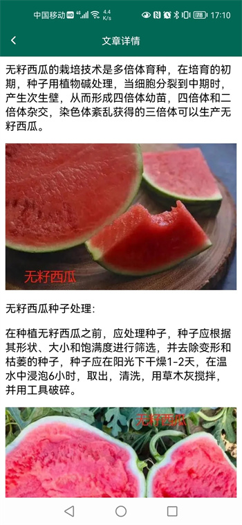 西瓜庄园图2
