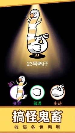 鸭鸭向前冲手游版图3