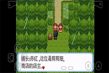 口袋妖怪牧场物语游戏汉化版图2