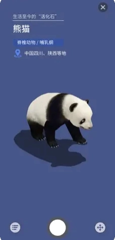 大眼探世界图2