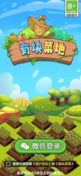 有块菜地