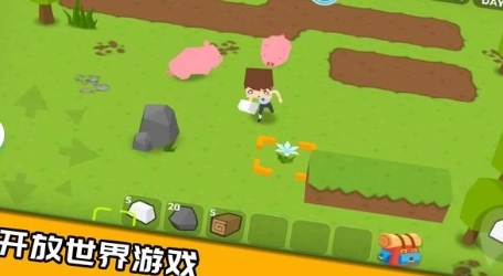 我的梦想国度