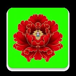 绿植花卉无广告版