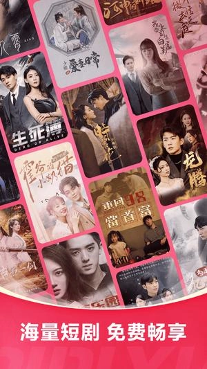 皮皮虾lite版图1