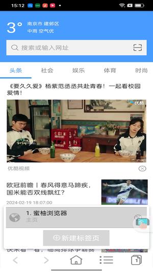 蜜柚浏览器安卓官方版图2
