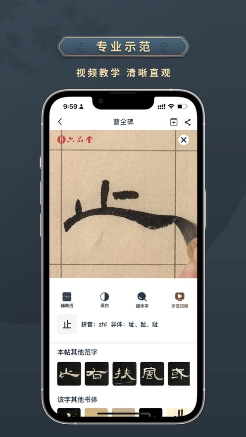 掌上碑帖手机免费版